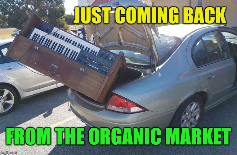 Organ trunk | JUST COMING BACK FROM THE ORGANIC MARKET | image tagged in organ trunk | made w/ Imgflip meme maker