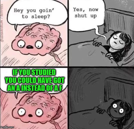 waking up brain | IF YOU STUDIED YOU COULD HAVE GOT AN A INSTEAD OF A F | image tagged in waking up brain | made w/ Imgflip meme maker