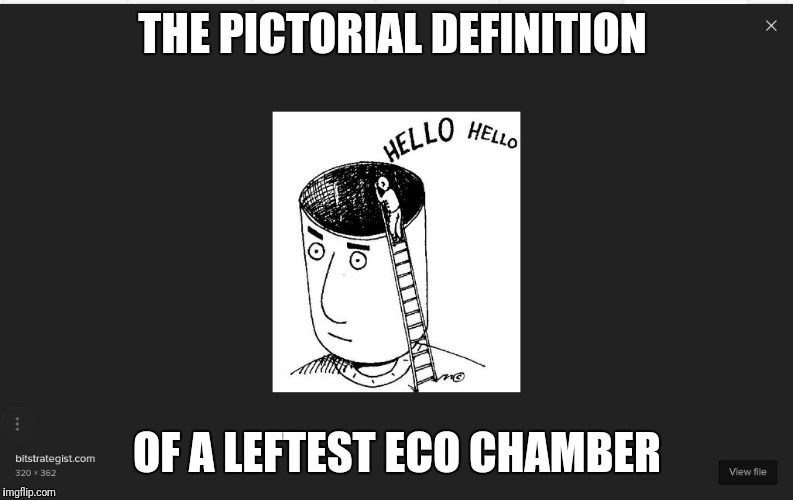 Leftest echo chamber found! | THE PICTORIAL DEFINITION; OF A LEFTEST ECO CHAMBER | image tagged in leftest brain fuction,stupid people,qanon | made w/ Imgflip meme maker
