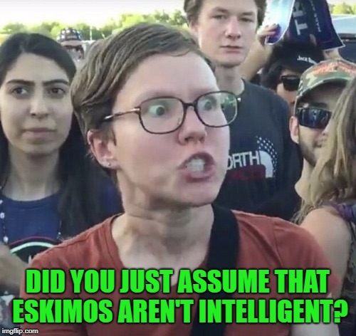 Triggered feminist | DID YOU JUST ASSUME THAT ESKIMOS AREN'T INTELLIGENT? | image tagged in triggered feminist | made w/ Imgflip meme maker