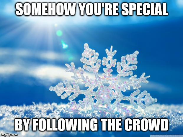 snowflake | SOMEHOW YOU'RE SPECIAL BY FOLLOWING THE CROWD | image tagged in snowflake | made w/ Imgflip meme maker