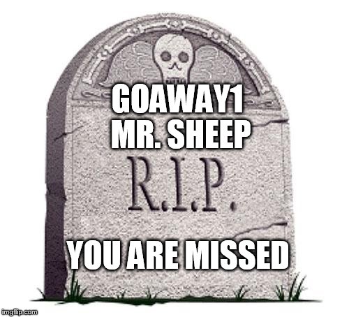 RIP | GOAWAY1; MR. SHEEP; YOU ARE MISSED | image tagged in rip | made w/ Imgflip meme maker