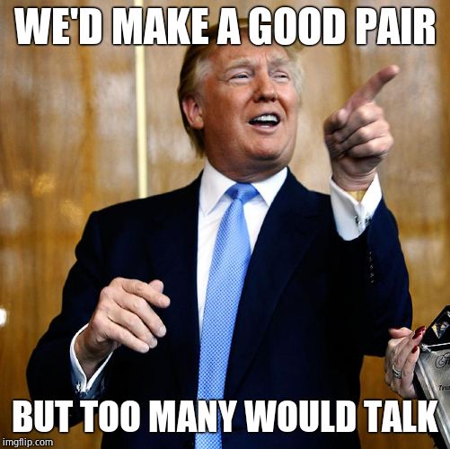 Donal Trump Birthday | WE'D MAKE A GOOD PAIR BUT TOO MANY WOULD TALK | image tagged in donal trump birthday | made w/ Imgflip meme maker