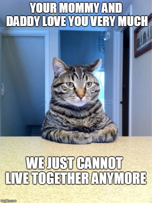 Take A Seat Cat | YOUR MOMMY AND DADDY LOVE YOU VERY MUCH; WE JUST CANNOT LIVE TOGETHER ANYMORE | image tagged in memes,take a seat cat | made w/ Imgflip meme maker