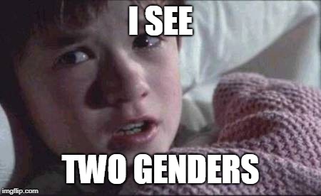 I See Dead People | I SEE; TWO GENDERS | image tagged in memes,i see dead people | made w/ Imgflip meme maker