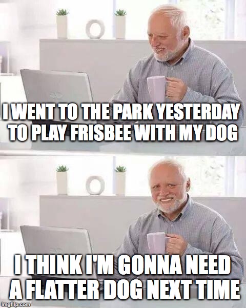 Hide the Pain Harold |  I WENT TO THE PARK YESTERDAY TO PLAY FRISBEE WITH MY DOG; I THINK I'M GONNA NEED A FLATTER DOG NEXT TIME | image tagged in memes,hide the pain harold,funny,frisbee,memelord344,dog | made w/ Imgflip meme maker