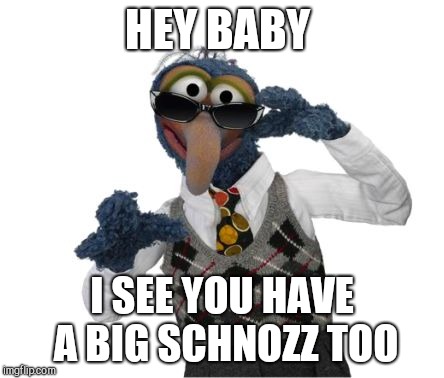 Gonzo Shades | HEY BABY; I SEE YOU HAVE A BIG SCHNOZZ TOO | image tagged in gonzo shades | made w/ Imgflip meme maker