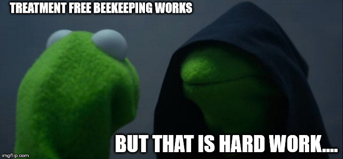 Evil Kermit | TREATMENT FREE BEEKEEPING WORKS; BUT THAT IS HARD WORK.... | image tagged in memes,evil kermit | made w/ Imgflip meme maker