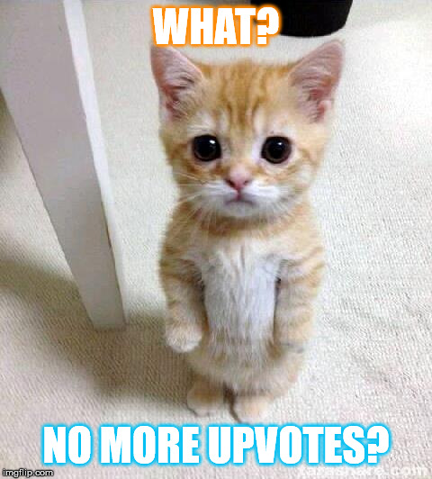 Sweet cat begging | WHAT? NO MORE UPVOTES? | image tagged in memes,cute cat,begging cat | made w/ Imgflip meme maker