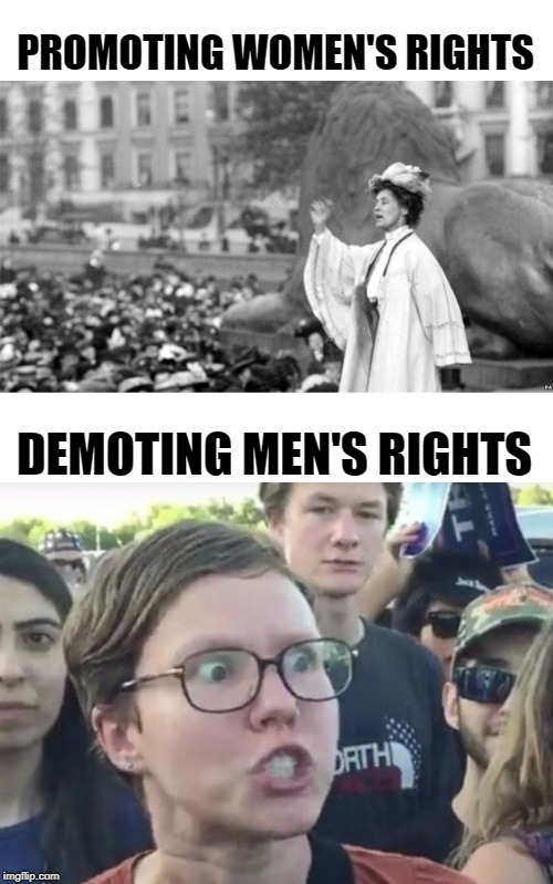 There's a Biiiiiiiig Difference | PROMOTING WOMEN'S RIGHTS; DEMOTING MEN'S RIGHTS | image tagged in feminism,fascism | made w/ Imgflip meme maker