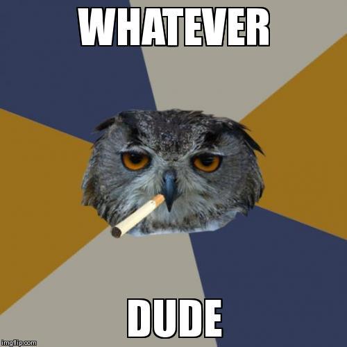 Art Student Owl | whatever dude | Art Student Owl Meme | image tagged in memes,art student owl | made w/ Imgflip meme maker