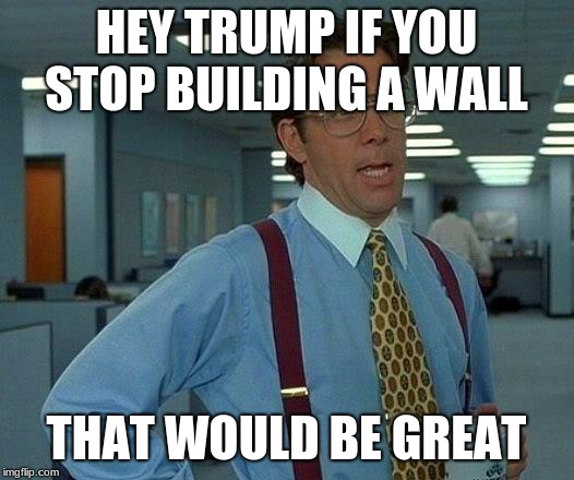 That Would Be Great | HEY TRUMP IF YOU STOP BUILDING A WALL; THAT WOULD BE GREAT | image tagged in memes,that would be great | made w/ Imgflip meme maker