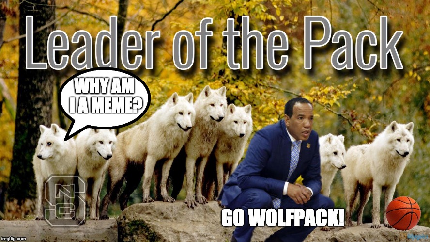 WHY AM I A MEME? GO WOLFPACK! | image tagged in leader of the pack | made w/ Imgflip meme maker