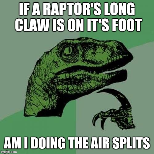 Philosoraptor Meme | IF A RAPTOR'S LONG CLAW IS ON ITS FOOT; AM I DOING THE AIR SPLITS | image tagged in memes,philosoraptor | made w/ Imgflip meme maker