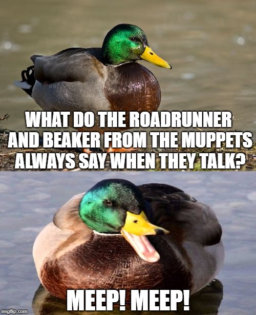 Have you ever noticed how two characters say the same word? |  WHAT DO THE ROADRUNNER AND BEAKER FROM THE MUPPETS ALWAYS SAY WHEN THEY TALK? MEEP! MEEP! | image tagged in bad pun duck | made w/ Imgflip meme maker