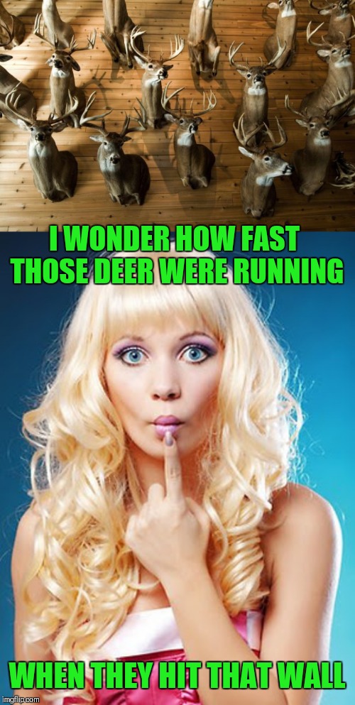 Dumb Blonde  | I WONDER HOW FAST THOSE DEER WERE RUNNING; WHEN THEY HIT THAT WALL | image tagged in dumb blonde,wall mounts,deer,old joke,memes,funny | made w/ Imgflip meme maker