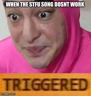  WHEN THE STFU SONG DOSNT WORK | image tagged in triggerd | made w/ Imgflip meme maker