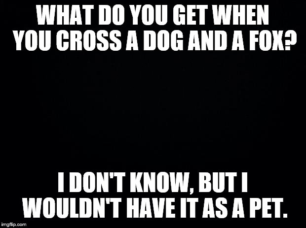 Black background | WHAT DO YOU GET WHEN YOU CROSS A DOG AND A FOX? I DON'T KNOW, BUT I WOULDN'T HAVE IT AS A PET. | image tagged in black background | made w/ Imgflip meme maker