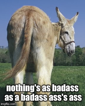 say that three times fast... | nothing's as badass as a badass ass's ass | image tagged in ass,it's not cursing if i'm talking about a donkey,sorry for the bad joke,it's been a long-ass day | made w/ Imgflip meme maker