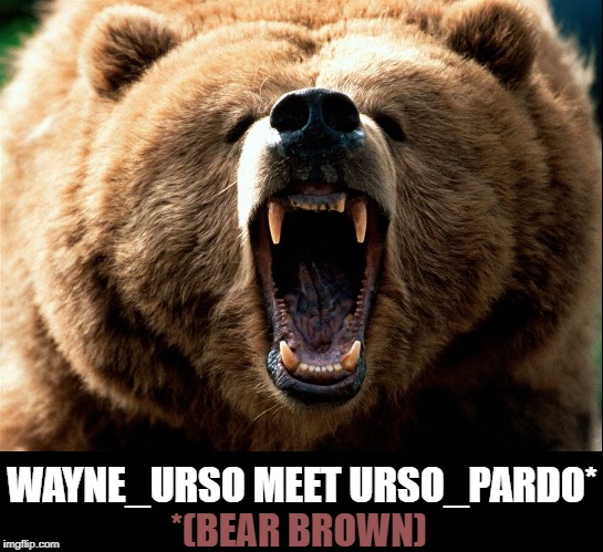 WAYNE_URSO MEET URSO_PARDO* *(BEAR BROWN) | made w/ Imgflip meme maker