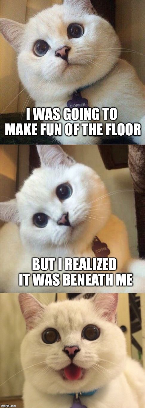 Can’t argue with this logic | I WAS GOING TO MAKE FUN OF THE FLOOR; BUT I REALIZED IT WAS BENEATH ME | image tagged in bad pun cat,memes,cat,bad pun,pun | made w/ Imgflip meme maker