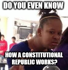 Duh | DO YOU EVEN KNOW HOW A CONSTITUTIONAL REPUBLIC WORKS? | image tagged in duh | made w/ Imgflip meme maker