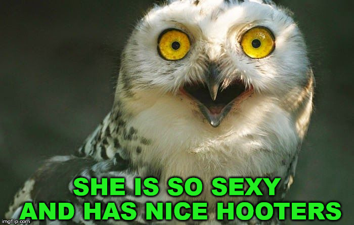 shocked face | SHE IS SO SEXY AND HAS NICE HOOTERS | image tagged in shocked face | made w/ Imgflip meme maker