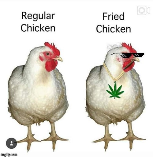 KFC's got nothing on this! | image tagged in funny chicken,stoked chicken,fried chicken | made w/ Imgflip meme maker