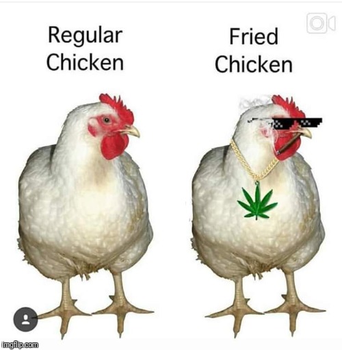 chicken Memes & GIFs - Imgflip