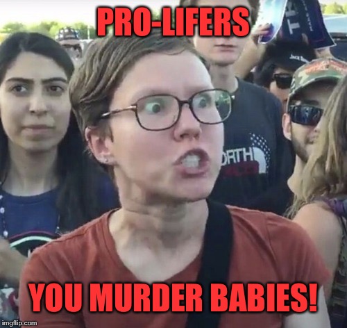 triggered anti-abortionists | PRO-LIFERS; YOU MURDER BABIES! | image tagged in triggered feminist,triggered pro-lifers,pro-life,abortion is murder,ridiculous,anti-abortionists | made w/ Imgflip meme maker
