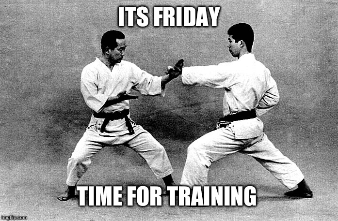 Karate_KnifeHand_LungePunch | ITS FRIDAY; TIME FOR TRAINING | image tagged in karate_knifehand_lungepunch | made w/ Imgflip meme maker