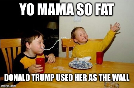 Yo Mamas So Fat Meme | YO MAMA SO FAT; DONALD TRUMP USED HER AS THE WALL | image tagged in memes,yo mamas so fat | made w/ Imgflip meme maker