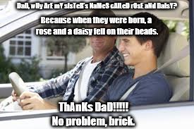 thanks dad | DaD, wHy ArE mY sIsTeR's NaMeS cAlLeD rOsE aNd DaIsY? Because when they were born, a rose and a daisy fell on their heads. ThAnKs DaD!!!!! No problem, brick. | image tagged in thanks dad | made w/ Imgflip meme maker