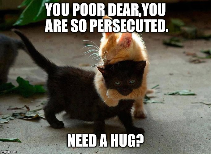 kitten hug | YOU POOR DEAR,YOU ARE SO PERSECUTED. NEED A HUG? | image tagged in kitten hug | made w/ Imgflip meme maker