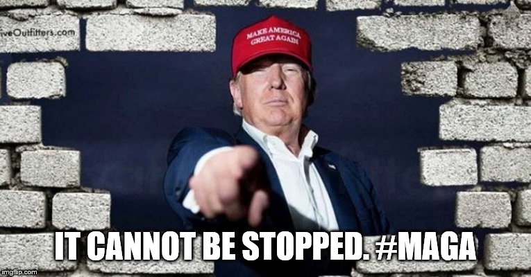 Unstoppable | IT CANNOT BE STOPPED. #MAGA | image tagged in wall,donald trump,unstoppable,politics,usa | made w/ Imgflip meme maker