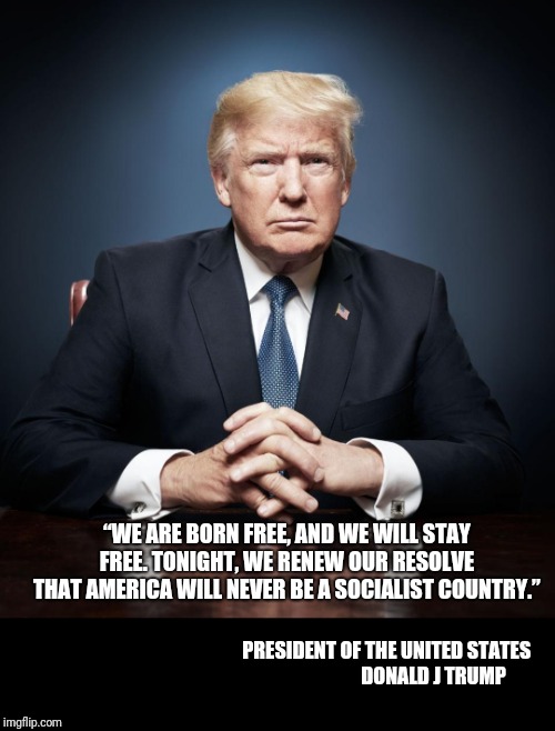 Land of the Free | “WE ARE BORN FREE, AND WE WILL STAY FREE. TONIGHT, WE RENEW OUR RESOLVE THAT AMERICA WILL NEVER BE A SOCIALIST COUNTRY.”; PRESIDENT OF THE UNITED STATES
                       DONALD J TRUMP | image tagged in president trump,state of the union | made w/ Imgflip meme maker