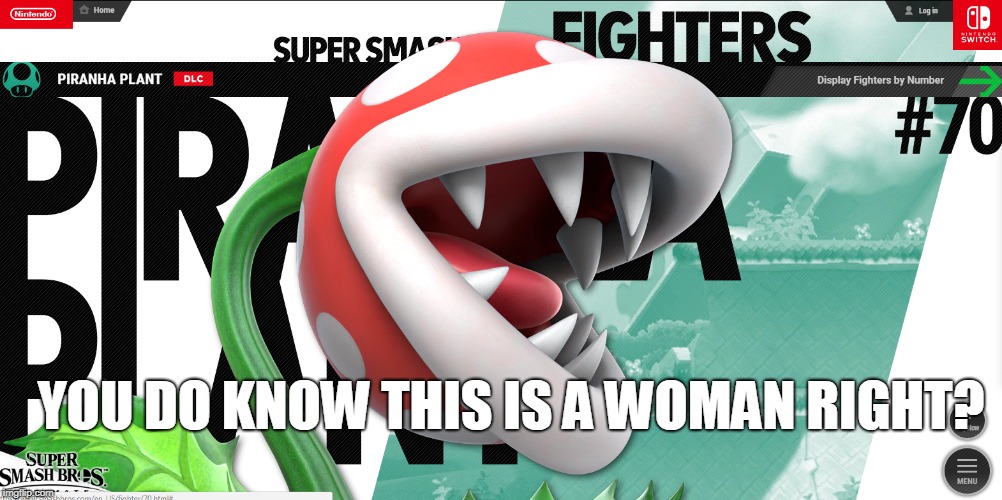 They said they wanted more female characters soooooo..... | YOU DO KNOW THIS IS A WOMAN RIGHT? | image tagged in super smash bros,super smash ultimate,piranha plant,memes,funny | made w/ Imgflip meme maker
