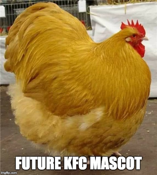 FUTURE KFC MASCOT | image tagged in kfc | made w/ Imgflip meme maker