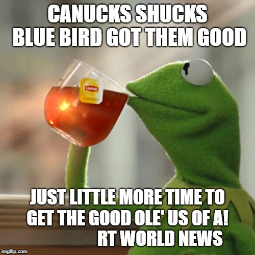 But That's None Of My Business Meme | CANUCKS SHUCKS BLUE BIRD GOT THEM GOOD; JUST LITTLE MORE TIME TO GET THE GOOD OLE' US OF A!           
        RT WORLD NEWS | image tagged in memes,but thats none of my business,kermit the frog | made w/ Imgflip meme maker