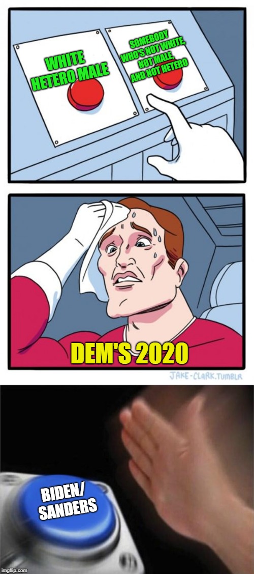 you know it's gonna happen...it's ALL you got! | SOMEBODY WHO'S NOT WHITE, NOT MALE, AND NOT HETERO; WHITE HETERO MALE; DEM'S 2020; BIDEN/ SANDERS | image tagged in memes,two buttons,blank nut button,tokinjester | made w/ Imgflip meme maker
