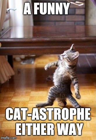 Cool Cat Stroll Meme | A FUNNY CAT-ASTROPHE EITHER WAY | image tagged in memes,cool cat stroll | made w/ Imgflip meme maker
