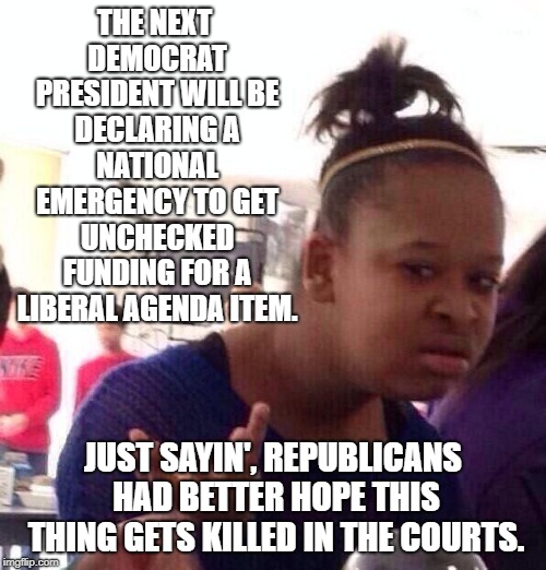 Does anyone else see the complete lack of long-game planning? | THE NEXT DEMOCRAT PRESIDENT WILL BE DECLARING A NATIONAL EMERGENCY TO GET UNCHECKED FUNDING FOR A LIBERAL AGENDA ITEM. JUST SAYIN', REPUBLICANS HAD BETTER HOPE THIS THING GETS KILLED IN THE COURTS. | image tagged in memes,black girl wat | made w/ Imgflip meme maker