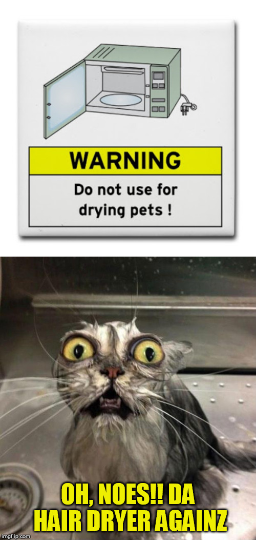You'll better serve me the gourmet food after this.... | OH, NOES!! DA HAIR DRYER AGAINZ | image tagged in astonished wet cat,warning sign,microwave | made w/ Imgflip meme maker