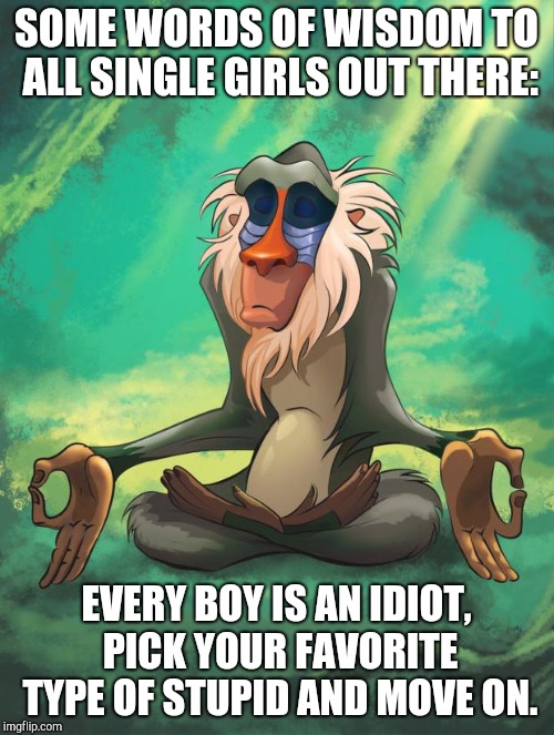 Rafiki wisdom | SOME WORDS OF WISDOM TO ALL SINGLE GIRLS OUT THERE:; EVERY BOY IS AN IDIOT, PICK YOUR FAVORITE TYPE OF STUPID AND MOVE ON. | image tagged in rafiki wisdom | made w/ Imgflip meme maker