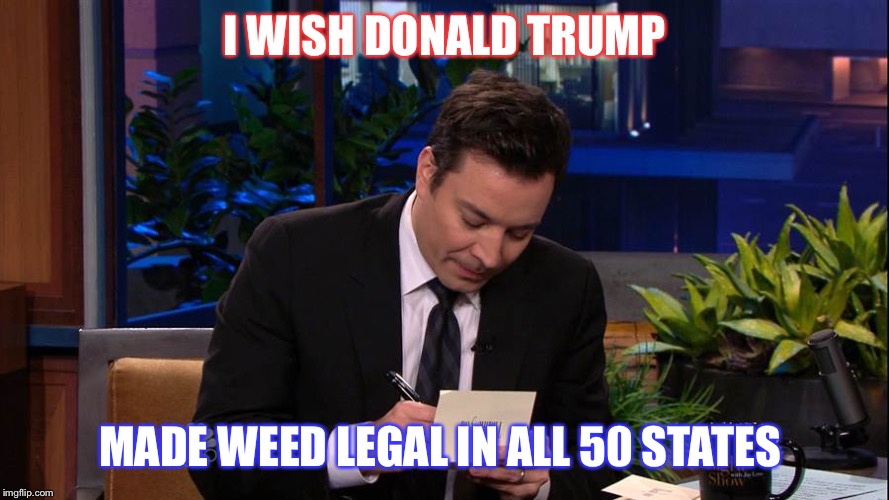 Jimmy Falon | I WISH DONALD TRUMP; MADE WEED LEGAL IN ALL 50 STATES | image tagged in jimmy falon | made w/ Imgflip meme maker