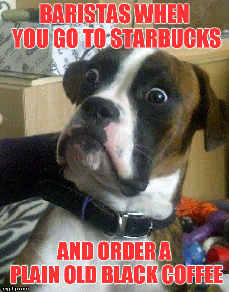 And no sugar... | BARISTAS WHEN YOU GO TO STARBUCKS; AND ORDER A PLAIN OLD BLACK COFFEE | image tagged in surprised dog,starbucks barista | made w/ Imgflip meme maker
