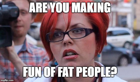 Angry Feminist | ARE YOU MAKING FUN OF FAT PEOPLE? | image tagged in angry feminist | made w/ Imgflip meme maker