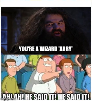 Every person who knows only this about Harry Potter. | YOU'RE A WIZARD 'ARRY' | image tagged in ah ah he said it,hagrid,harry potter,family guy,memes | made w/ Imgflip meme maker