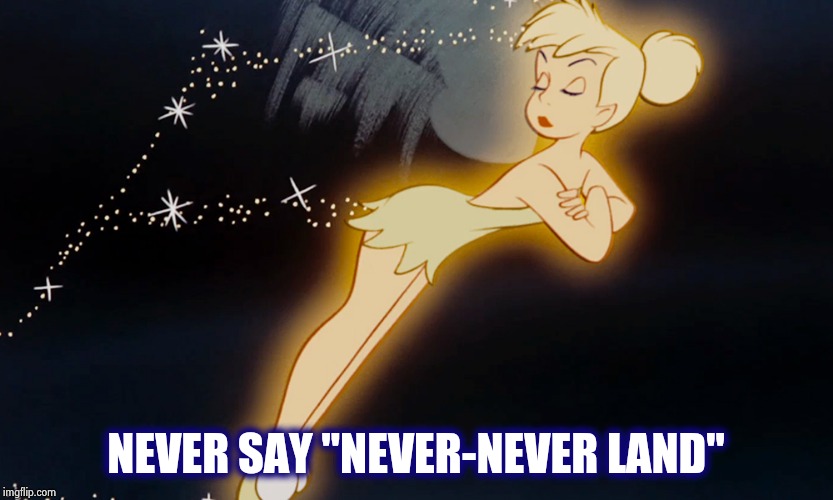 Tinkerbell | NEVER SAY "NEVER-NEVER LAND" | image tagged in tinkerbell | made w/ Imgflip meme maker
