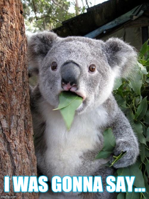 Surprised Koala Meme | I WAS GONNA SAY... | image tagged in memes,surprised koala | made w/ Imgflip meme maker